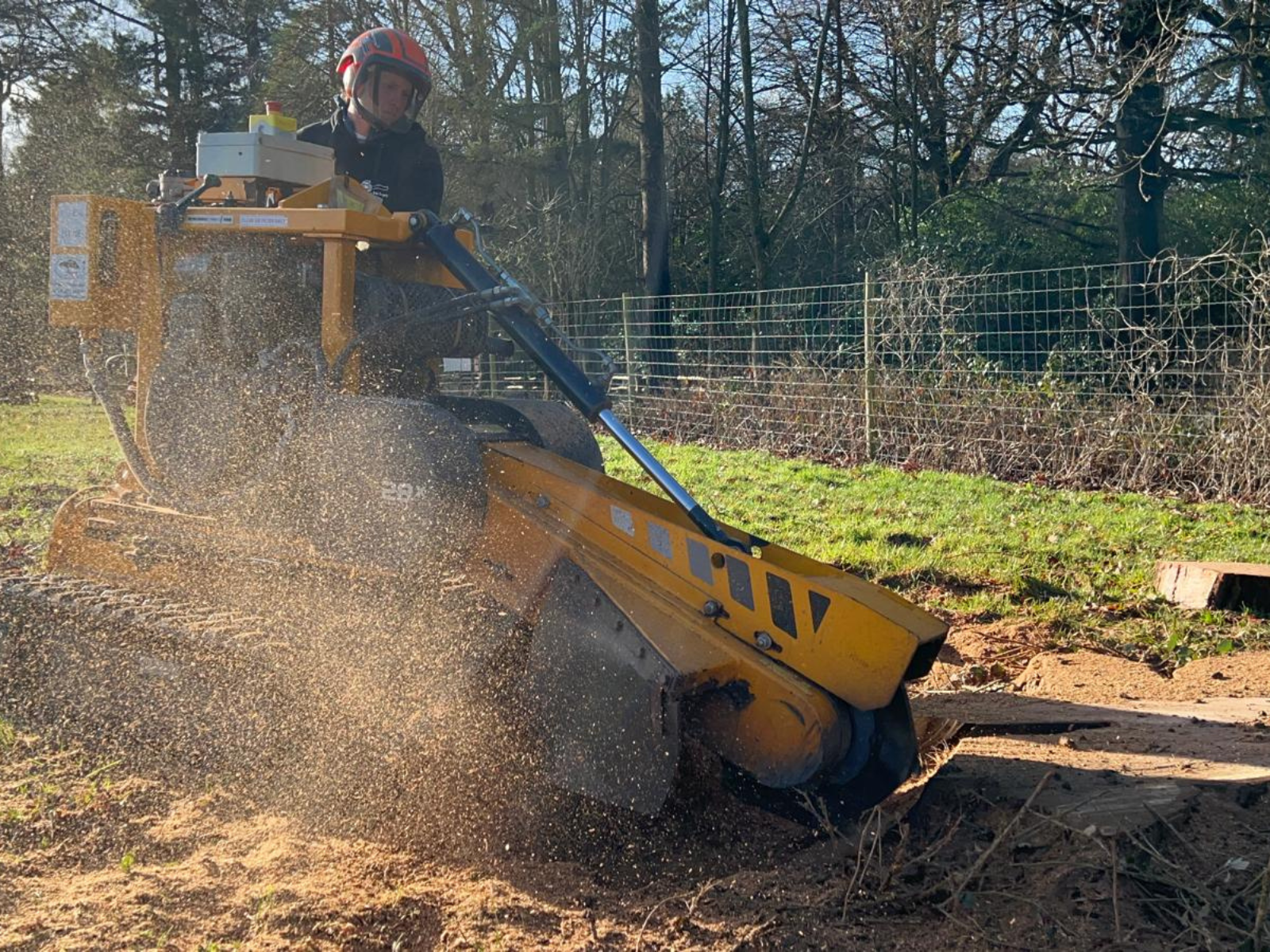 Tree Stump Grinding & Removal Services